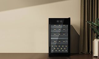 Caves à vin Capacité en bouteilles