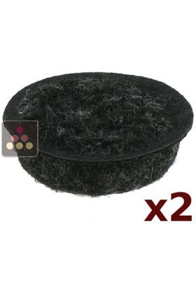 Lot de 2 filtres &agrave; charbon actifs pour cave &agrave; vin DOMETIC (par absorption)