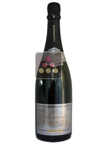 1 bouteille de Champagne Cuperly - Pour faire la f&ecirc;te! Sélection Vin