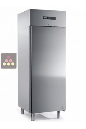 Armoire positive porte pleine - 458L