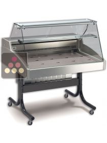 Comptoir réfrigéré vitré pour fromages, charcuteries, viandes ou produits frais TECNOX