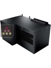 Climatiseur monobloc 1 température - Production de froid uniquement - Evacuation Down avec double bac de ré-évaporation des condensats - 20 m3 FRIAX