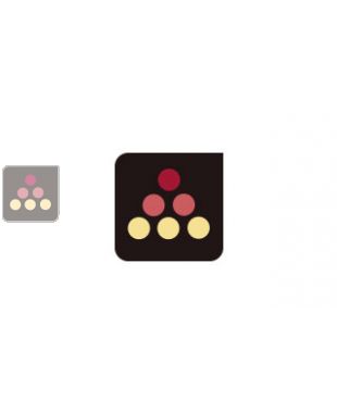 THERMOMETRE ROUGE AVEC SONDE TPM-900 CLIMADIFF