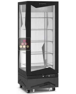 Vitrine verticale négative ventilée - 450L TECFRIGO