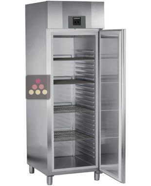 Armoire négative ventilée GN 2/1 - Cuve inox - 465L LIEBHERR PRO