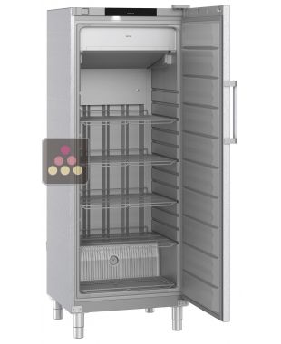 Armoire négative ventilée de restauration - Cuve ABS - Carrosserie Inox - 378L LIEBHERR PRO