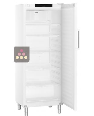 Armoire positive ventilée GN 2/1 - Cuve ABS - 479L LIEBHERR PRO