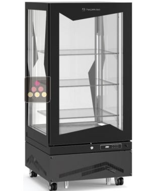 Vitrine verticale positive ventilée - 275L TECFRIGO