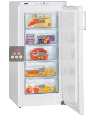 Congélateur armoire 158L - Froid statique - Dégivrage manuel LIEBHERR PRO